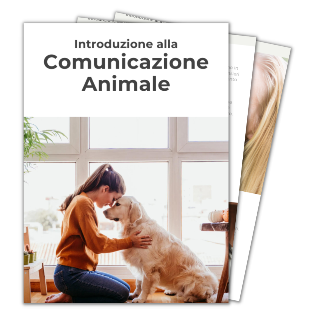 Scopri la comunicazione con gli animali — inizia oggi il tuo corso introduttivo gratuito.