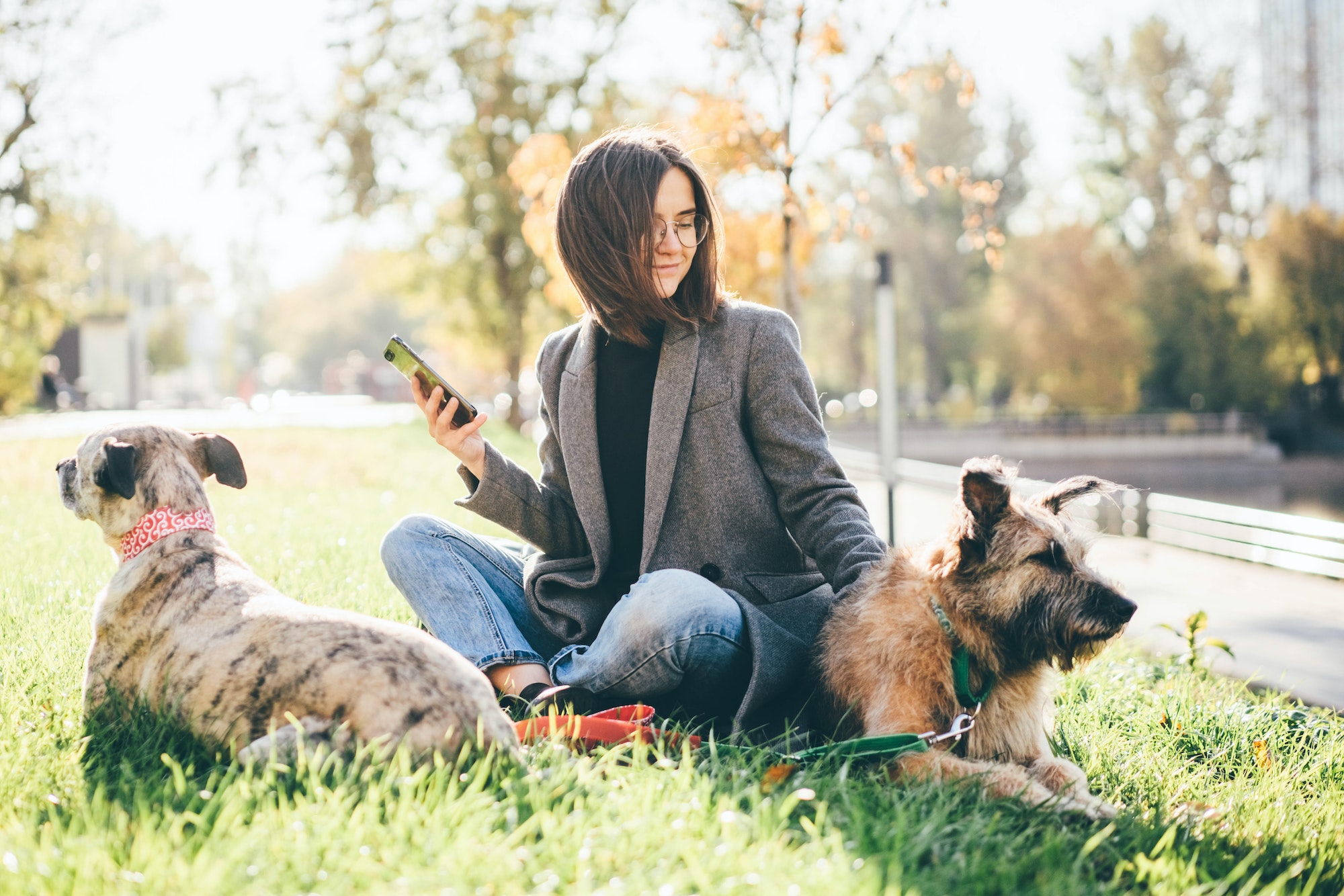 Corso di certificazione per specialisti della comunicazione animale