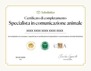 New Certificates ES ANCOM