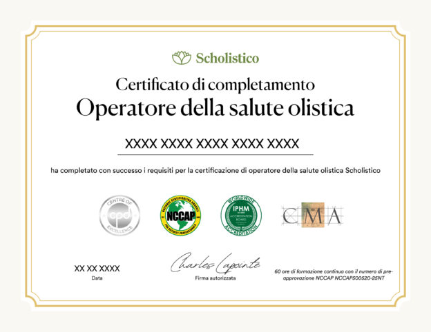 Scholistico Social Media Certificate HHP Italian