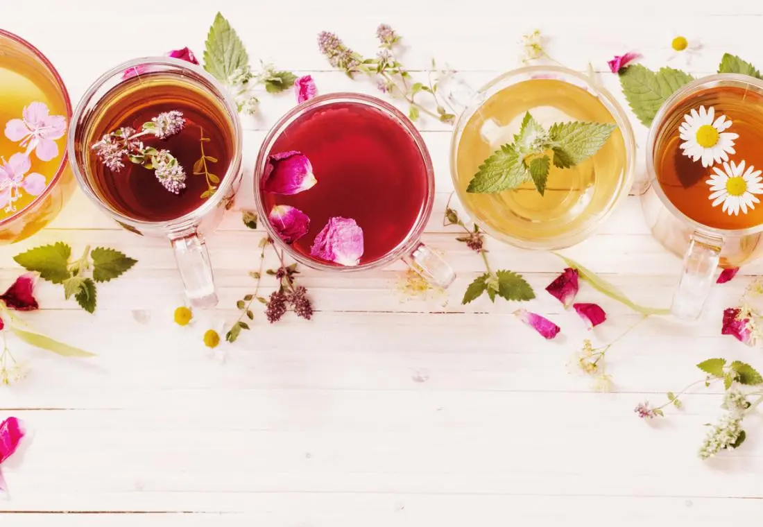 Blog 1 five cups of herbal teas in a row including rosehip nettle and dandelion tea