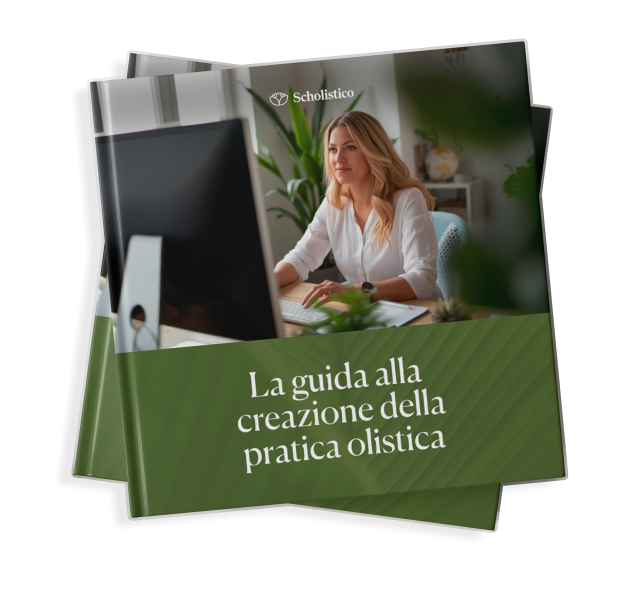 The Holistic Practice Setup Roadmap IT