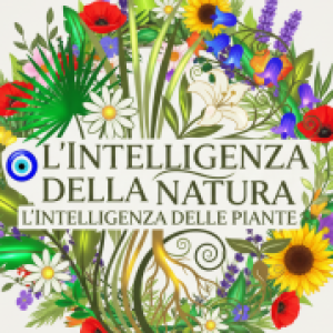 Foto del profilo di Marianna