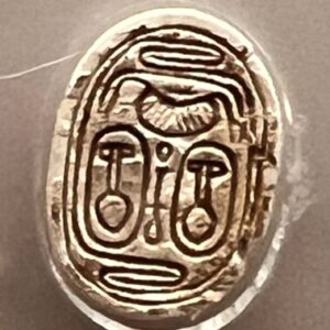 Foto del profilo di Alessandra