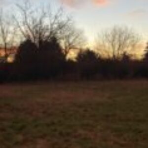 Foto del profilo di Patrizia