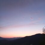Foto del profilo di Francesca
