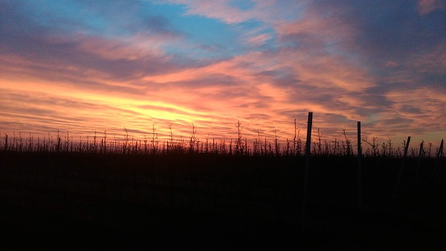 68dfdbc1d0f65 bp cover image