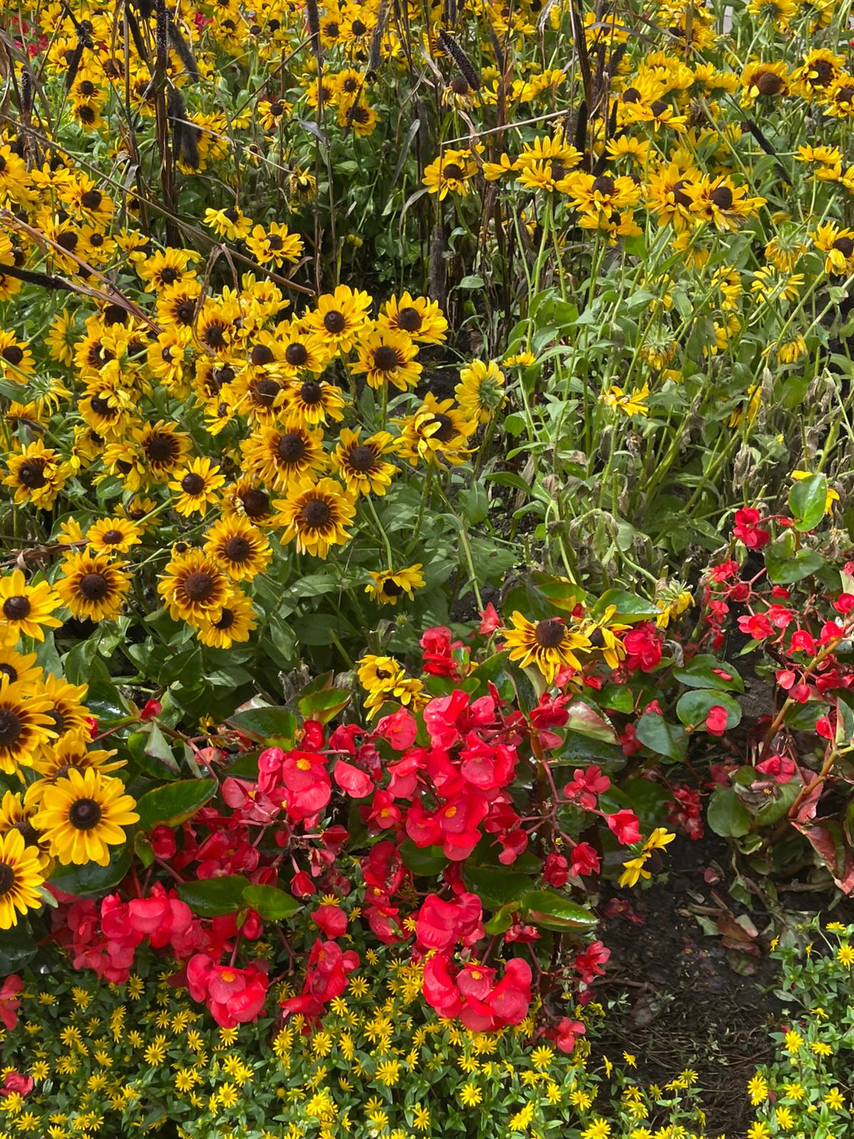 68d9043686432 bp cover image