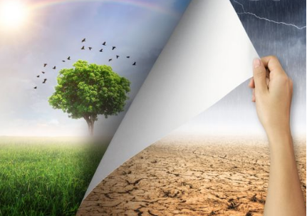 695bfde3a8f6a bp cover image