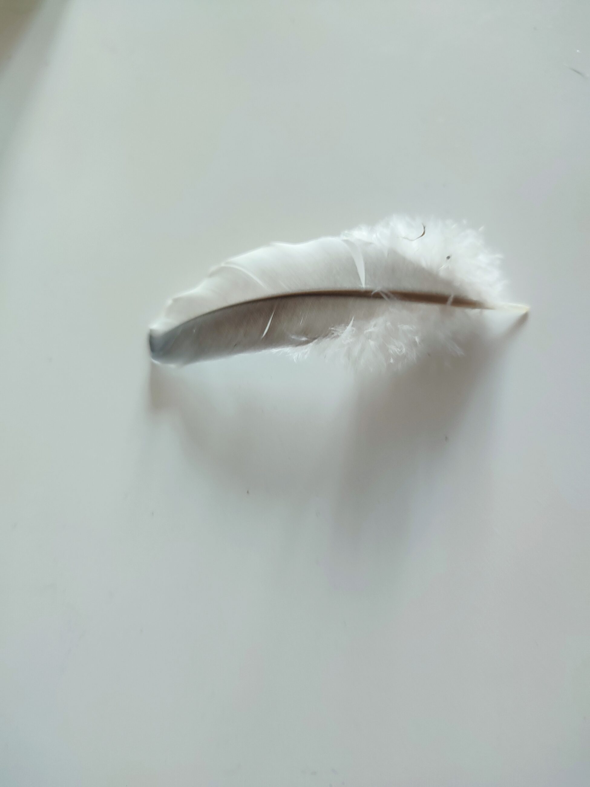 6a0638bbeb94f bp cover image